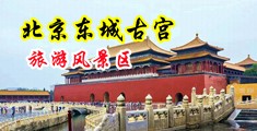 大鸡巴操菊花射精视频中国北京-东城古宫旅游风景区