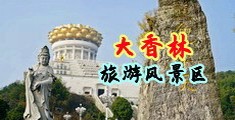被大鸡巴操的感觉视频网站中国浙江-绍兴大香林旅游风景区